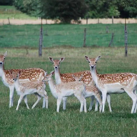Lüks kamp alanı Anima'sphair Bulle Pres Des Animaux