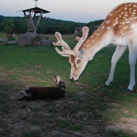 Anima'sphair Bulle Pres Des Animaux Lüks kamp alanı Bras-Haut