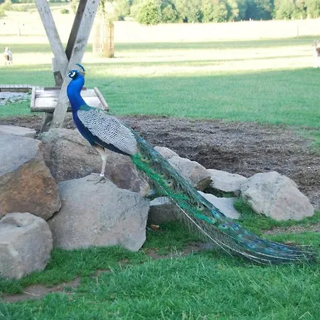 Lüks kamp alanı Anima'sphair Bulle Pres Des Animaux