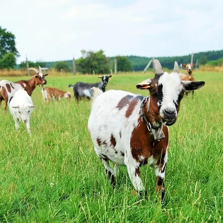 Anima'sphair Bulle Pres Des Animaux Lüks kamp alanı