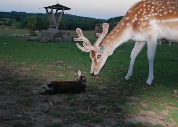 Anima'sphair Bulle Pres Des Animaux Luxury tent Bras-Haut