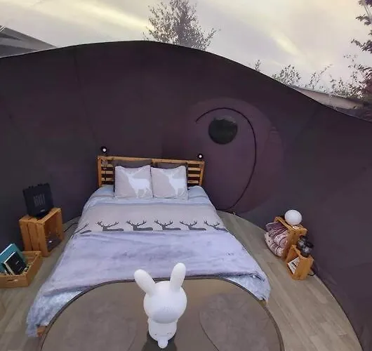 Anima'sphair Bulle Pres Des Animaux *