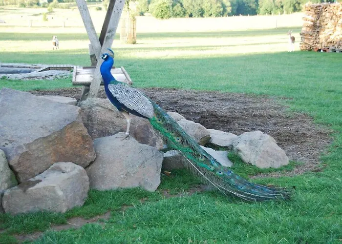 Luxury tent Anima'sphair Bulle Pres Des Animaux