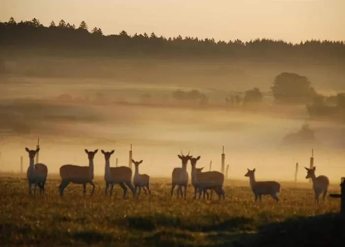 Anima'sphair Bulle Pres Des Animaux Luxury tent *